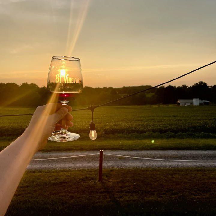 61vineyards