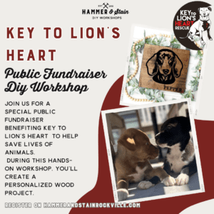 Key to Lion’s Heart Public DIY Fundraiser