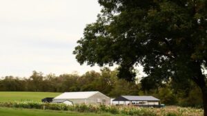 Farm Tour: Grateful Gardeners & Floraponics