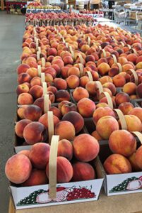 Farm Tour: Lewis Orchard
