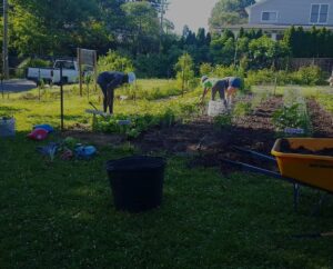 Farm Tour: Koiner Farm