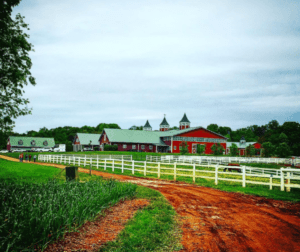 Farm Tour: Madison Fields