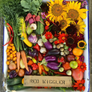 Farm Tour: Red Wiggler Community Farm
