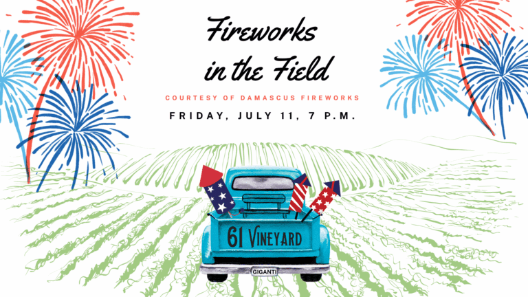 FireworksinField CalendarImage 768x432