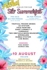 🌺🌴 Aloha Summer Bash: A Hawaiian Paradise Right in Your Backyard! 🌴🌺