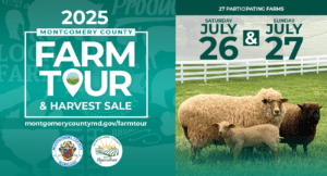 2025 Farm Tour & Harvest Sale