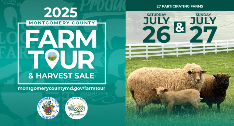 farm tour 2 slider 768x414