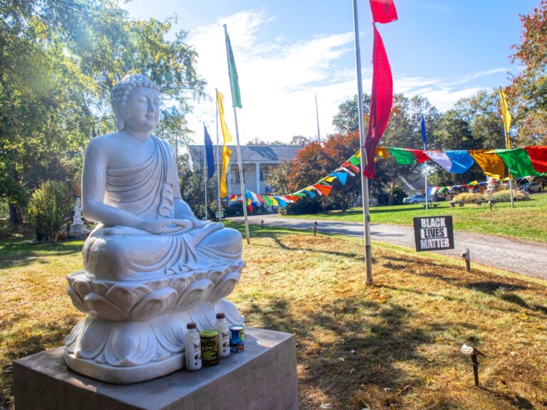 Amitabha black lives matter 768x576