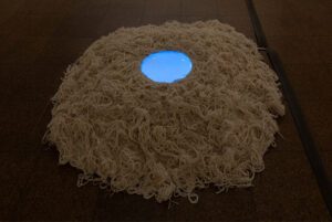 VisArts Exhibition – Jacqueline Arias: A Lived Experience