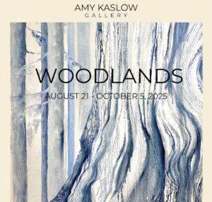 Woodlands | Exhibition Opening
