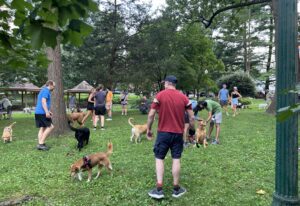 Yappy Hour & Pop-Up Dog Park – Downtown Bethesda