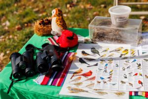 Birdability Week Celebration