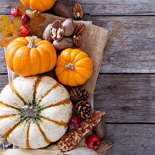 Clarksburg FallHarvest RSC 1