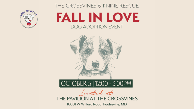 CrossvinesAdoptionEvent10 5 FB 768x432