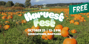 The Cornerstone Harvest Fest