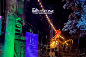 Halloween Glow in the Park | Climb & Zipline After Dark