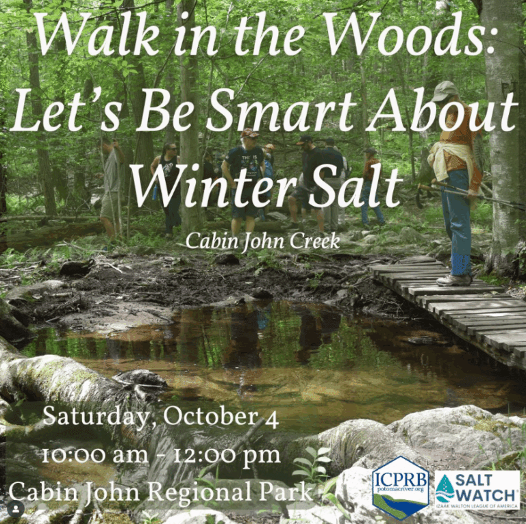 Salt.CabinJohn 768x766
