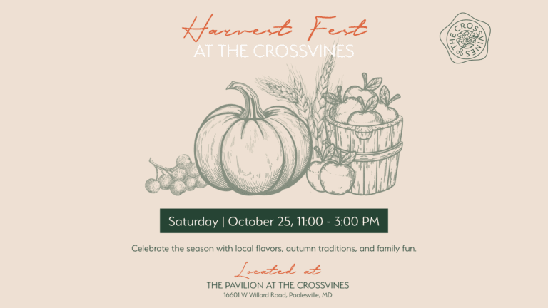 Harvest Fest FB 1920 x 1080 px 768x432