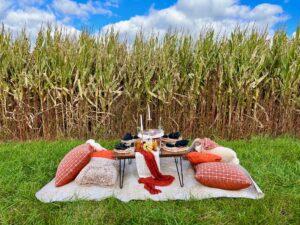 Luxe Picnics at the Pumpkin Patch