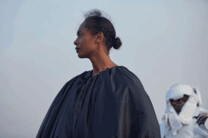 Cinema Art Bethesda presents: On Becoming a Guinea Fowl