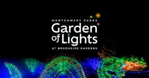 Garden of Lights
