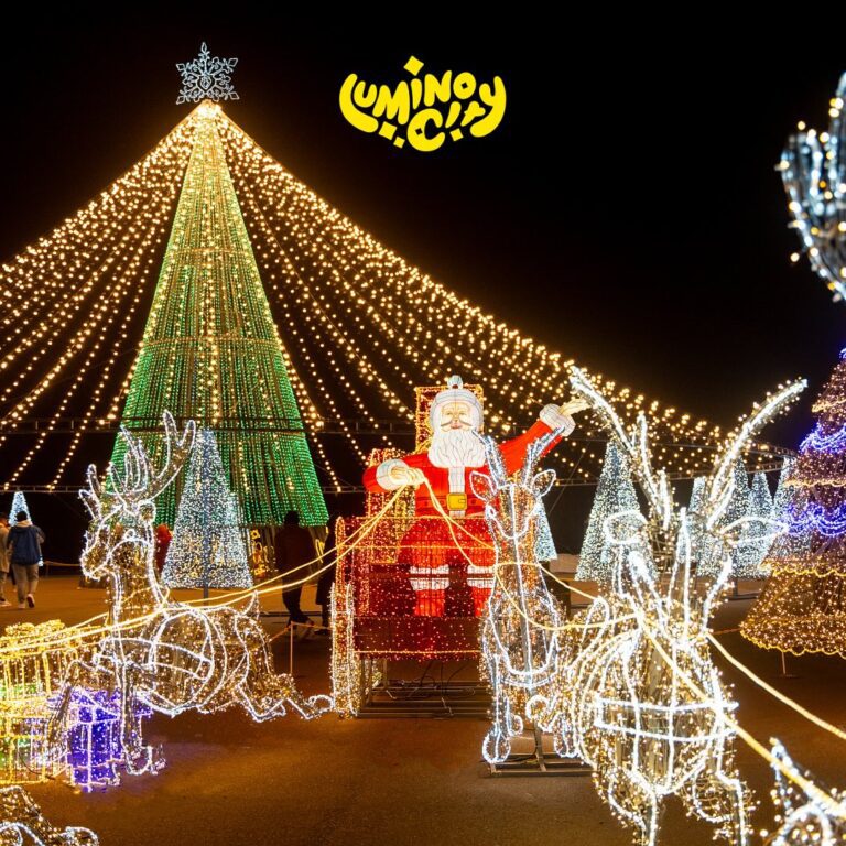 468621653 18270091513247902 8395695385385339963 n 768x768