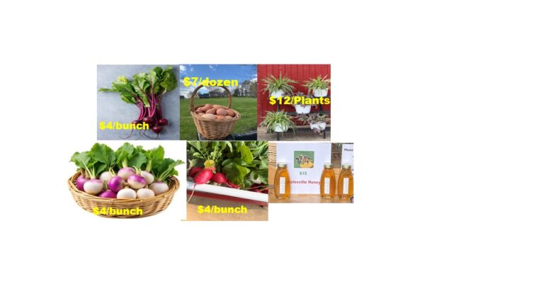 MOCO NOV 1 2 768x432