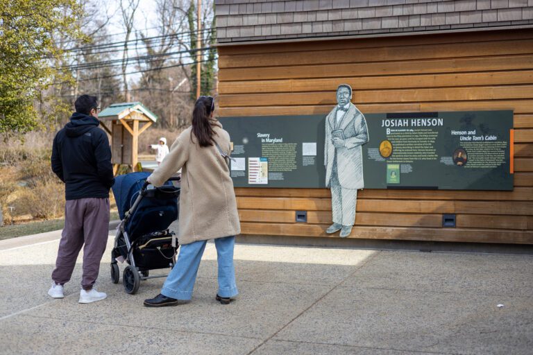 54349958361 0d05c36d77 k 768x512