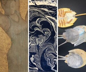 “What Lies Beneath” at Gallery B