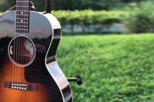 Live Music at Windridge Vineyards