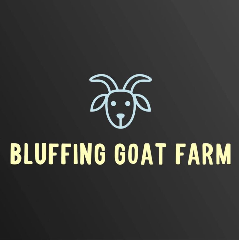 489370673 122101649936831310 7917979874763615958 n 768x770