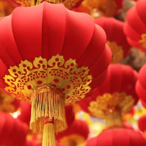 Lunar New Year Celebration