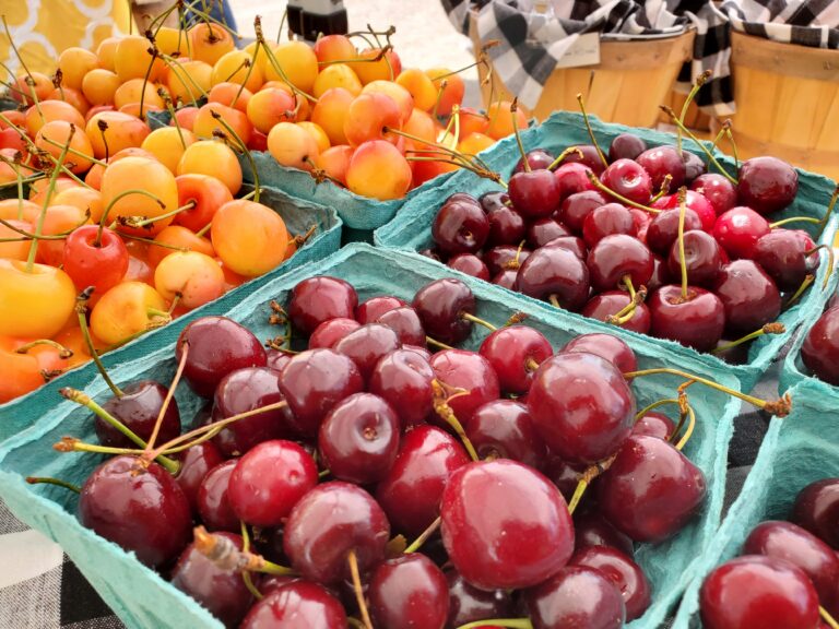 20220629 133058 768x576