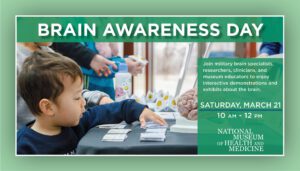 Brain Awareness Day at the Medical Museum