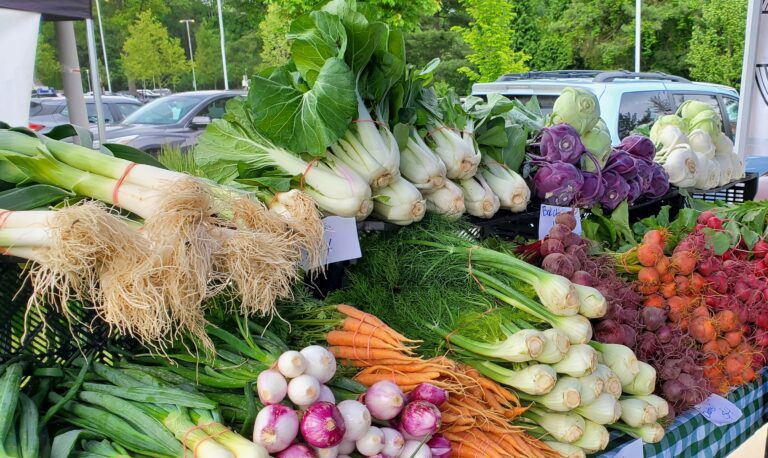 Display 20240519 104000 768x458