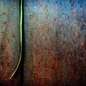 March First Friday Celebrates Artists & Makers Studios 11th Anniversary