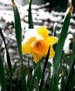 First Day of Spring Hike