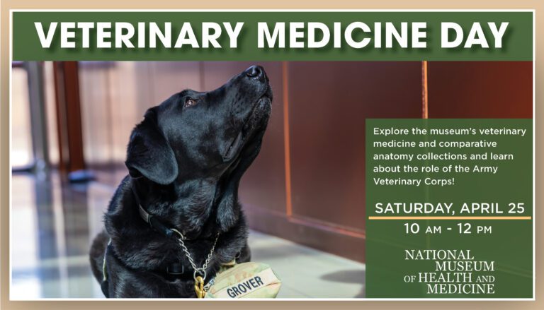 2026 VetMedDay Header 02.11.2026 768x439