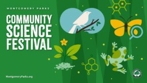 Community Science Festival