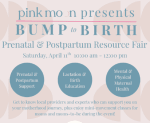 Bump To Birth: Prenatal & Postpartum Resource Fair at Pink Moon