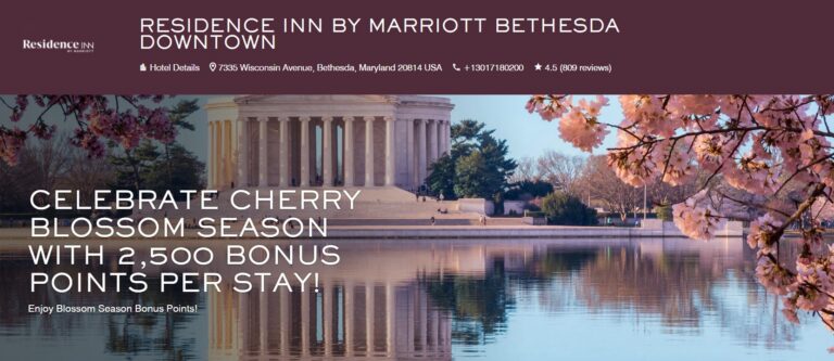 Screenshot 2026 03 17 131945 768x333