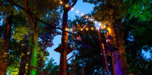 Glow In The Park