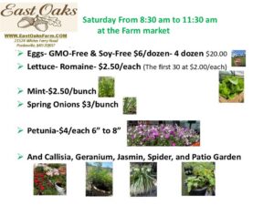 Saturday Sale (4/11/26)