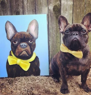pe paint your pet