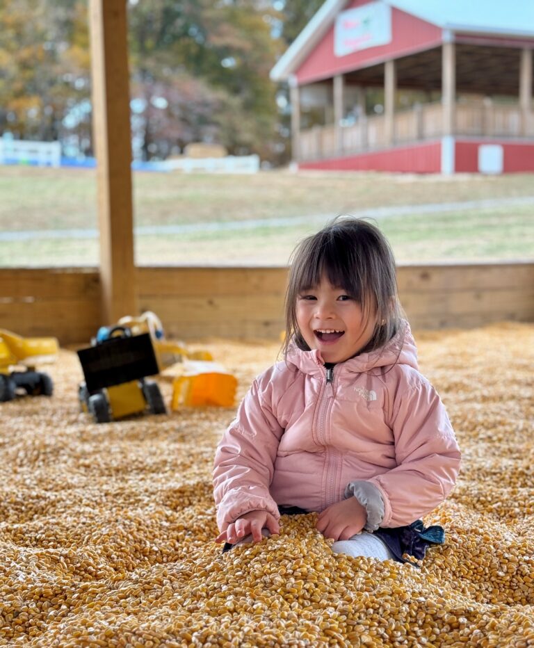Corn pool 768x932