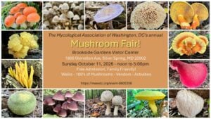 MAW Mushroom Fair at Brookside Gardens