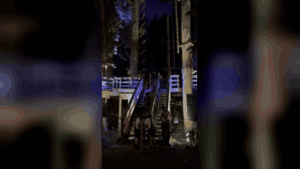 Glow In The Park