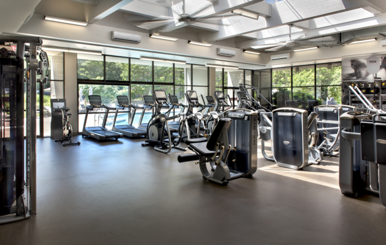 wasbt fitness 3mb 768x488