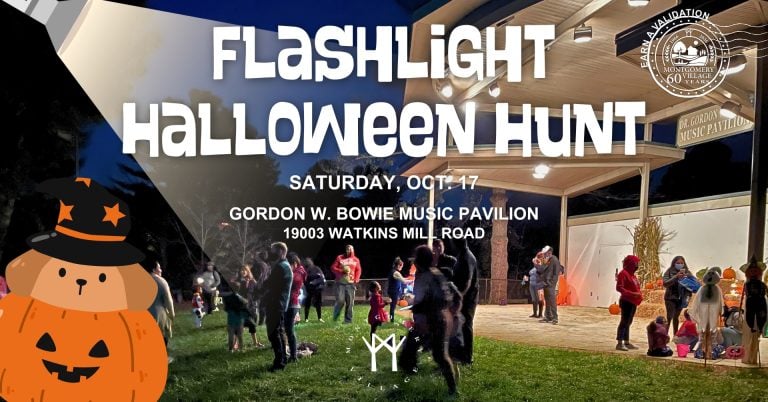 261017 Flashlight Halloween Hunt 768x402
