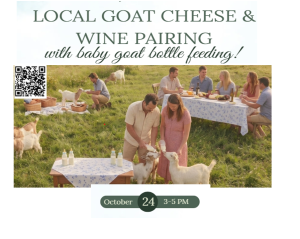 Metzger Wine Pairing with Local Goat Cheese & baby goat bottle feeding!
